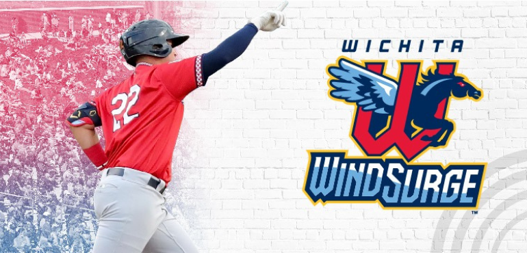 Cancer Night at Wichita Wind Surge Game